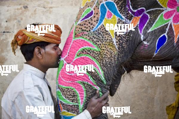 camel trainer and his elephant in Jaipur India 2