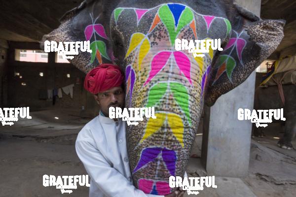Painted elephant and it’s trainer in Jaipur, India 2