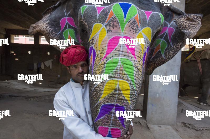 Painted elephant and it’s trainer in Jaipur, India 2