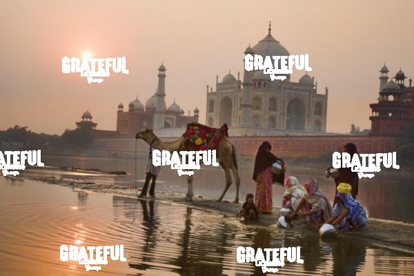 family and camel behind the taj mahal in agra