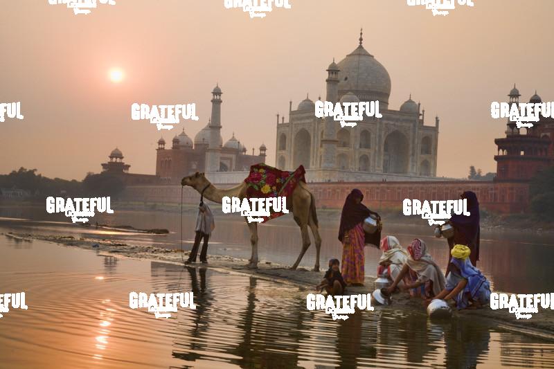 family and camel behind the taj mahal in agra