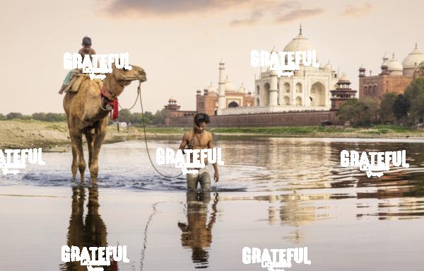 Camel and owner in the river behind the Taj Mahal