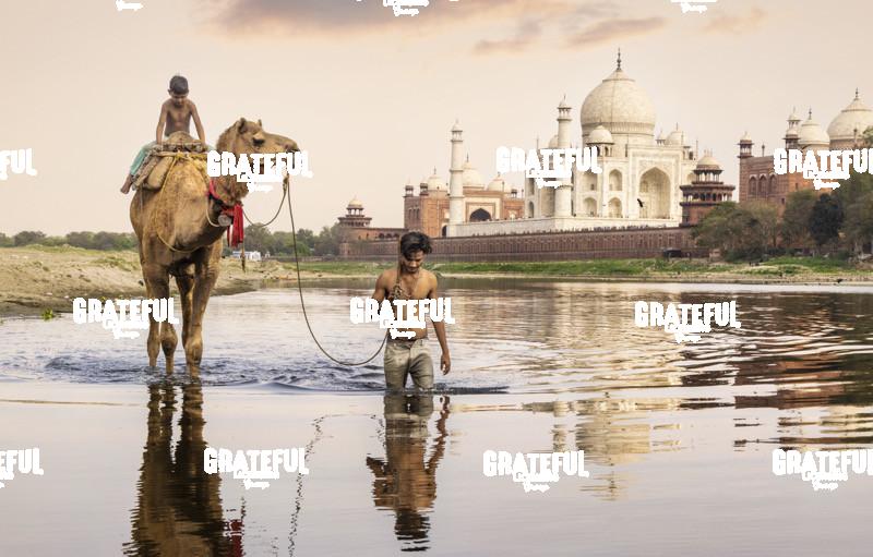 Camel and owner in the river behind the Taj Mahal