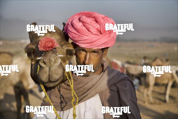 camel and his owner in pushkar India
