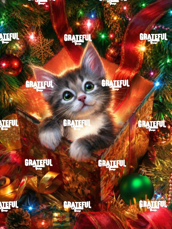 Christmas Kitten