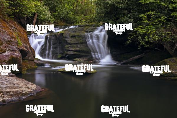 Spring at East Fork Falls