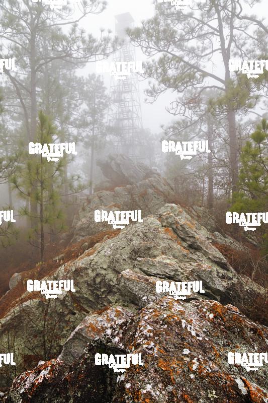 Devil's Backbone at Smith Mountain Fire Tower