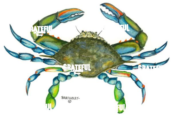 Blue Crab
