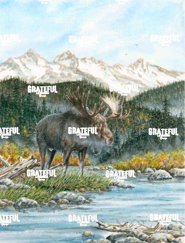 Back Country Moose