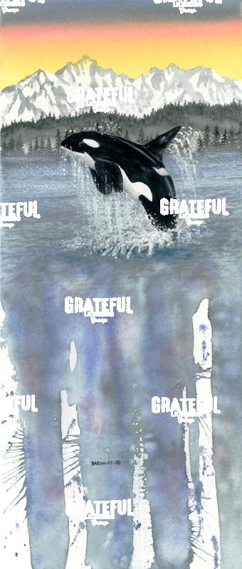 Orca Dance