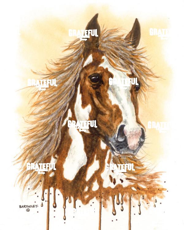 Paint (Horse)