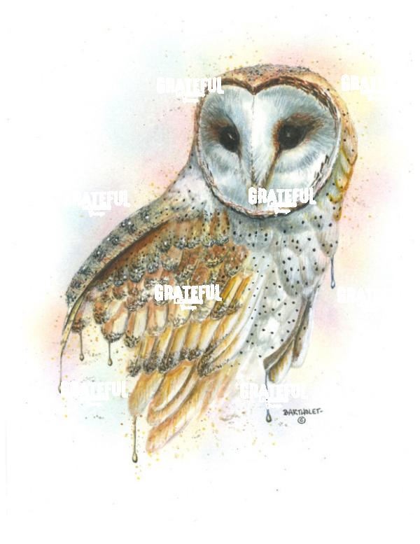 Barney (Owl)