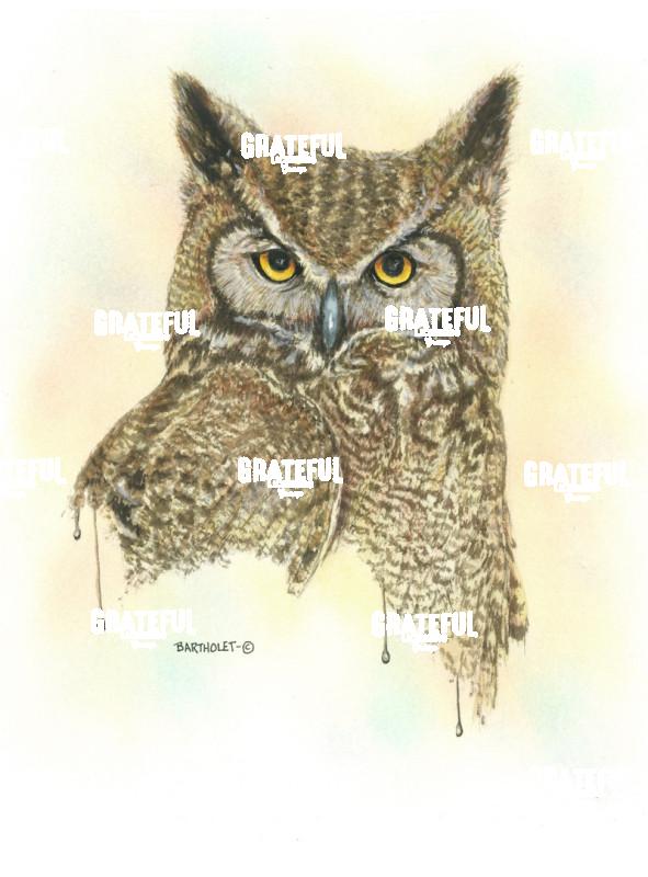 Great Horn (Owl)