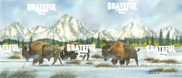 Wyoming Bull Session