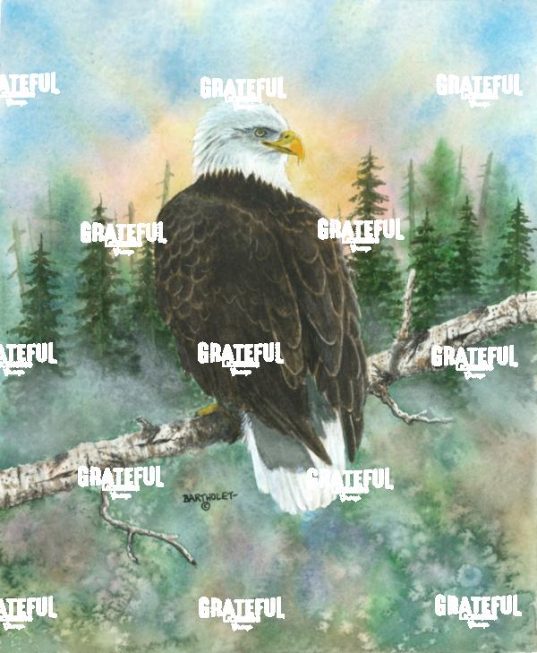 Spirit of the Wild