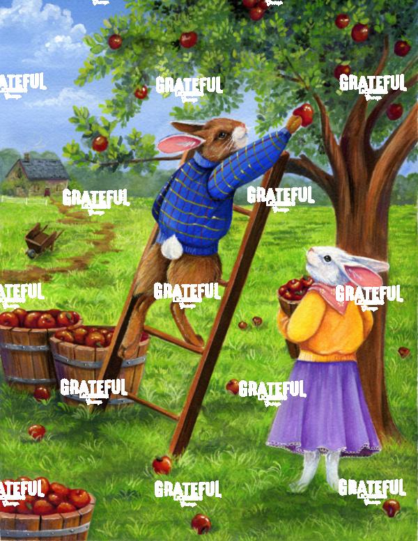 Apple Picking