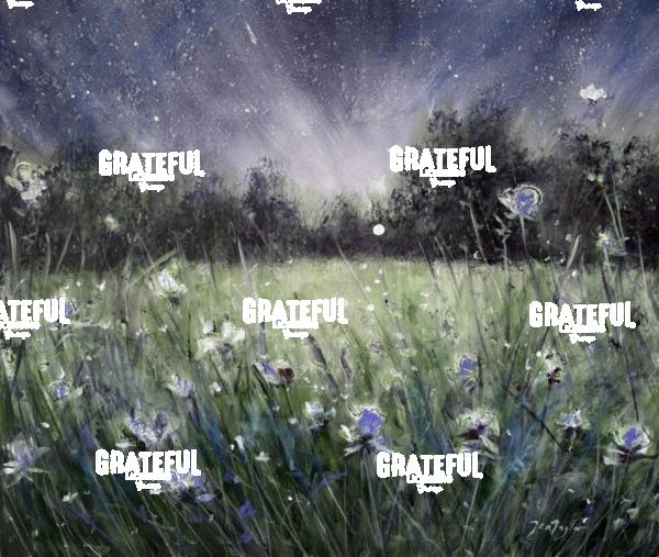 A Dream Under The Stars - 2026