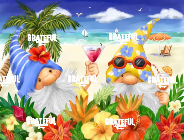 Summer Gnomes at Sea