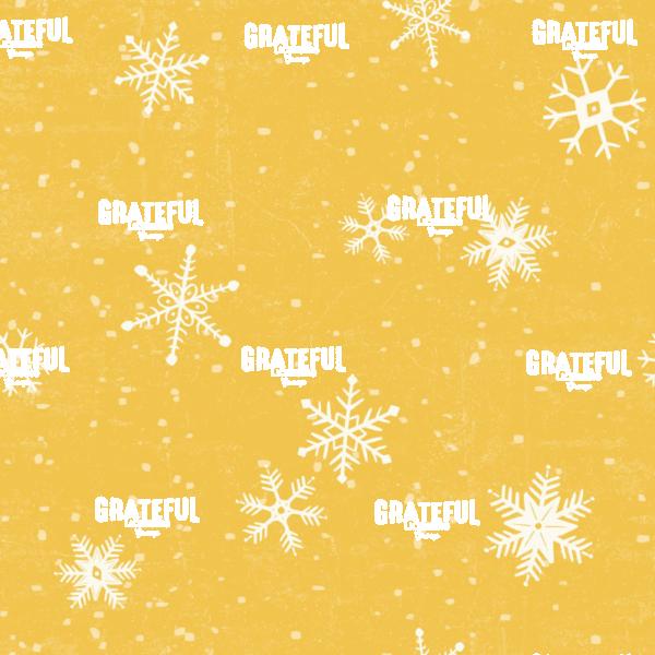 Winter Pattern 2C