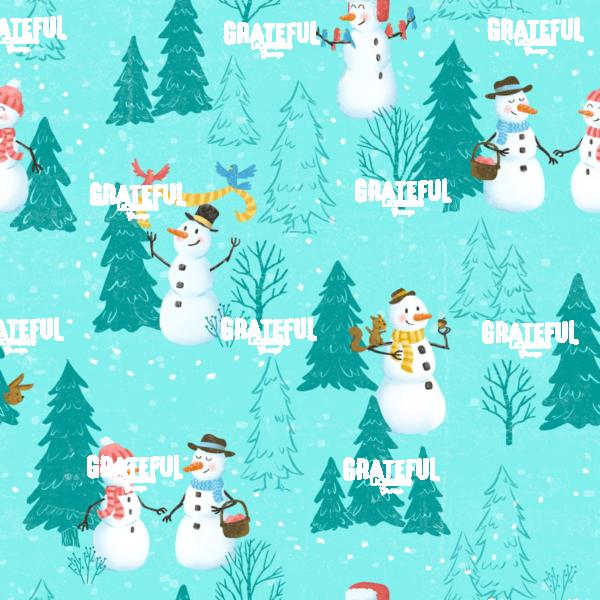 Winter Pattern 4B