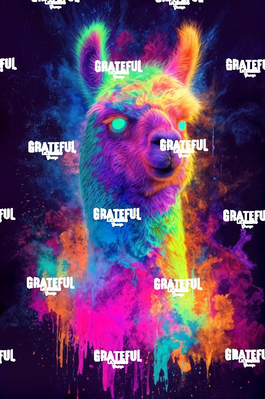 Alpaca, Cloud Burst