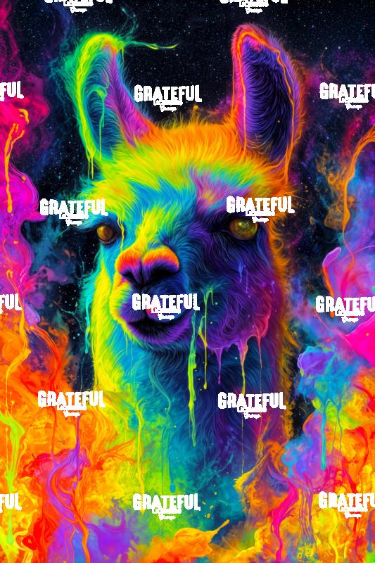 Alpaca, Cosmic Graffiti