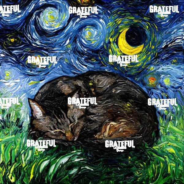 Sleepy Brown Tabby Night