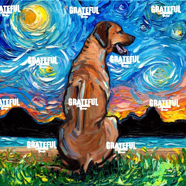 Rhodesian Ridgeback Night