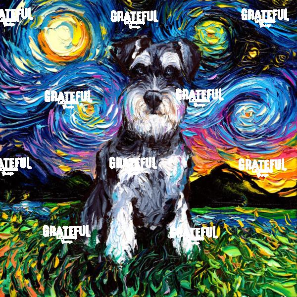 Schnauzer Night