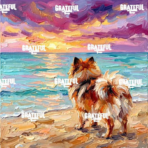 Summer Sunset - Pomeranian
