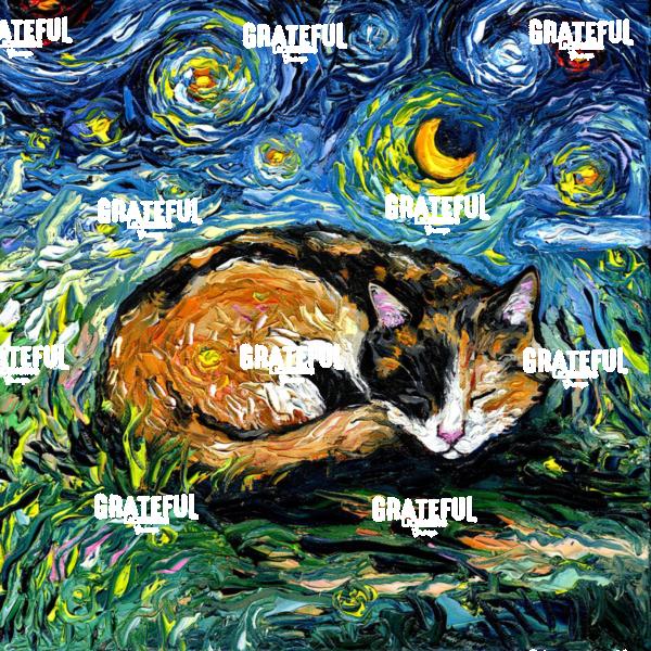 Sleepy Calico Night