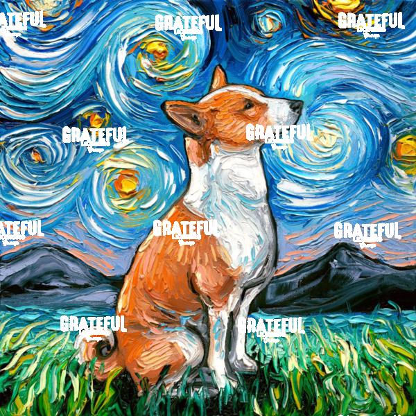 Basenji Night