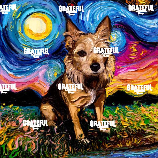 Australian Terrier Night