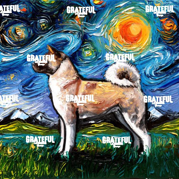 Akita Night