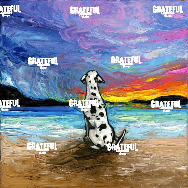 Beach Days - Dalmatian