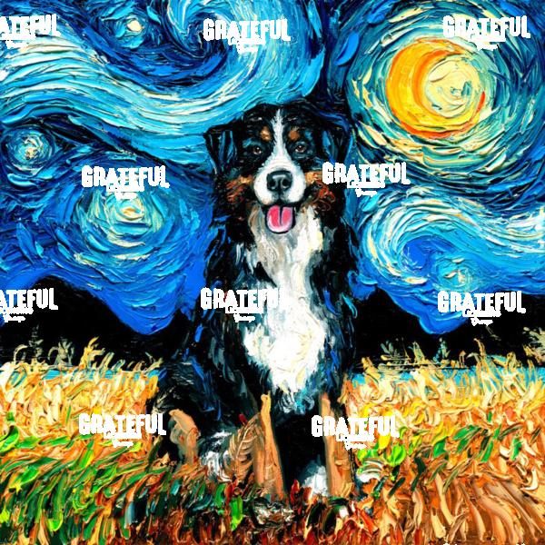 Bernese Mountain Dog Night
