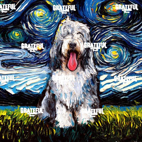 Bearded Collie Night