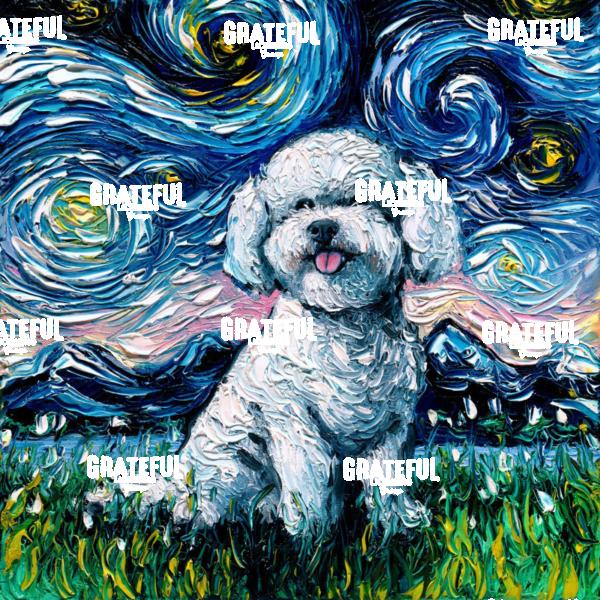 Bichon Frise Night