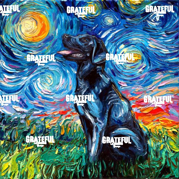 Black Labrador Night