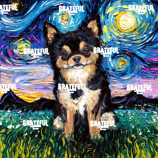 Black and Tan Fluffy Chihuahua Night
