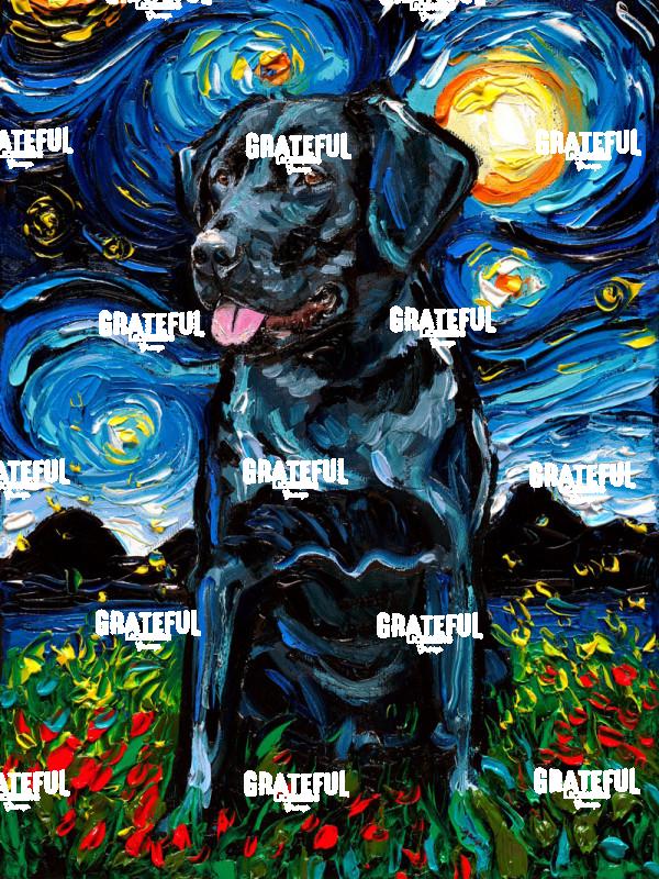 Black Labrador Night 4