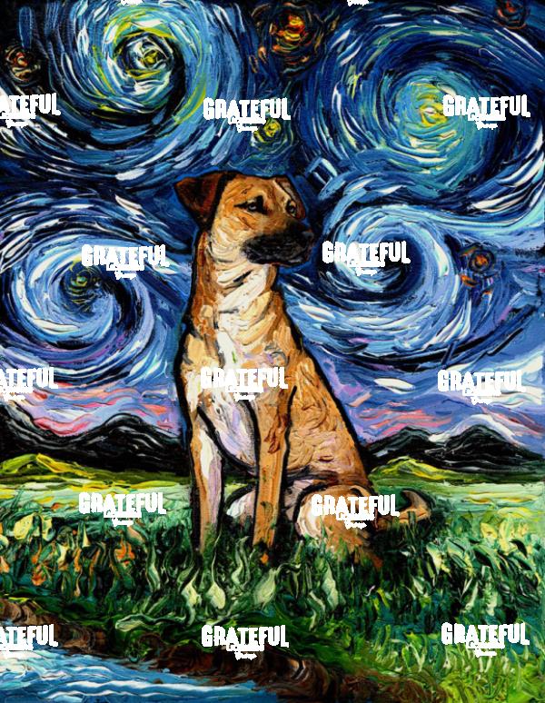 Black Mouth Cur Night