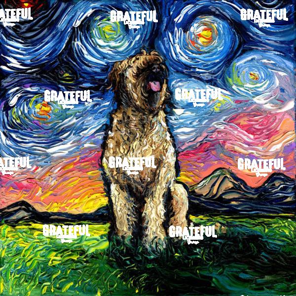 Briard Night