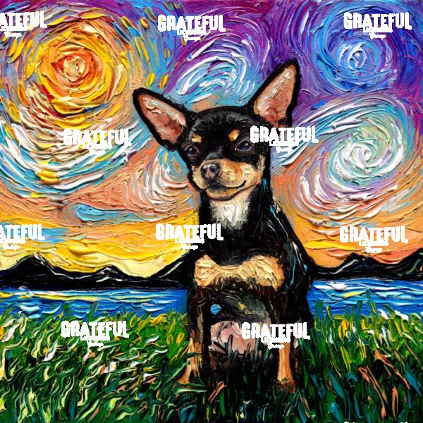 Black and Tan Short Hair Chihuahua Night