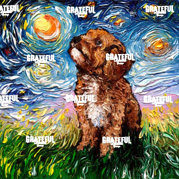 Cavapoo Night