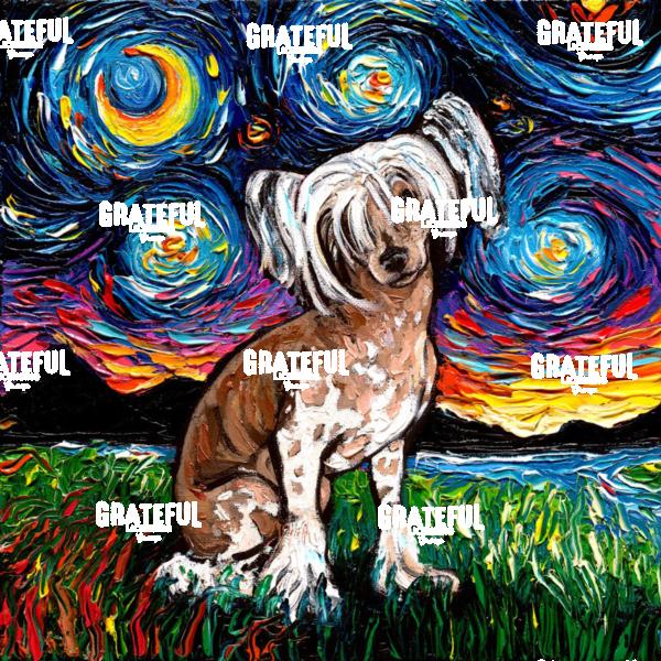 Chinese Crested Night