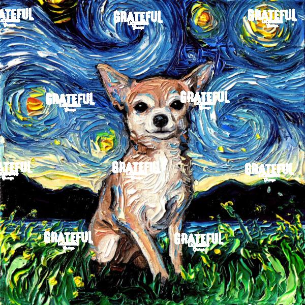 Chihuahua Night