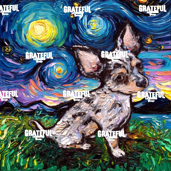 Merle Teacup Chihuahua Night