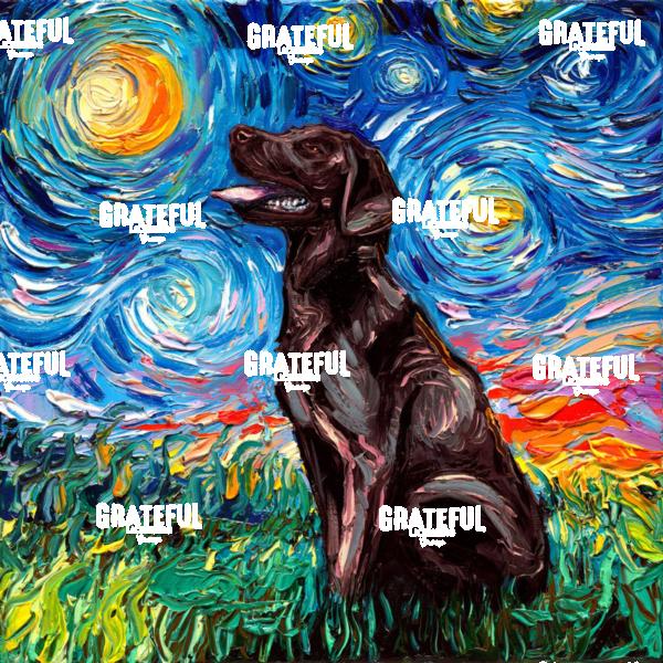 Chocolate Labrador Night