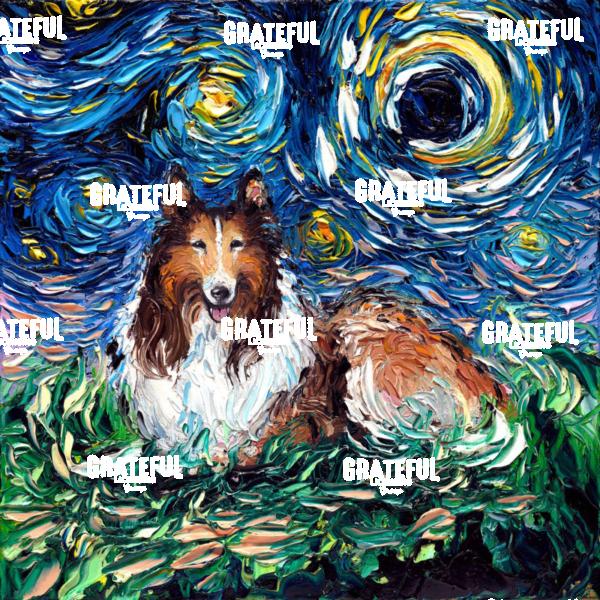 Collie Night